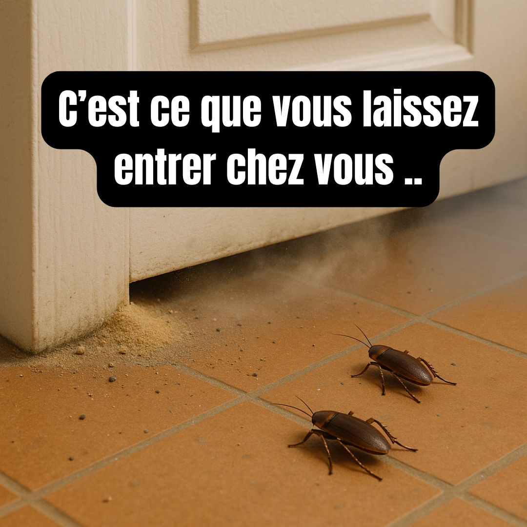 Etancheité de porte Barri'zen